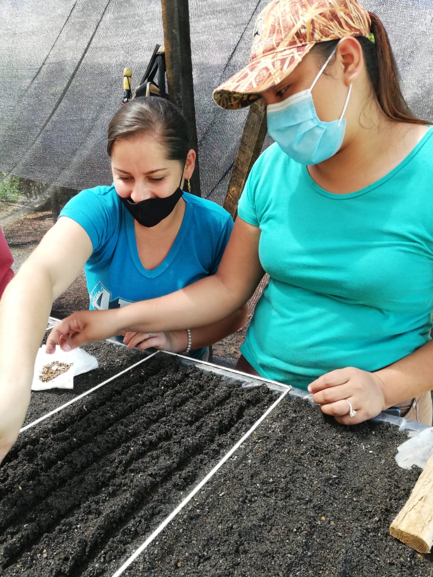Dos mujeres jóvenes siembran semillas en una vivero