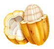 Convocatoria de cacaoteros