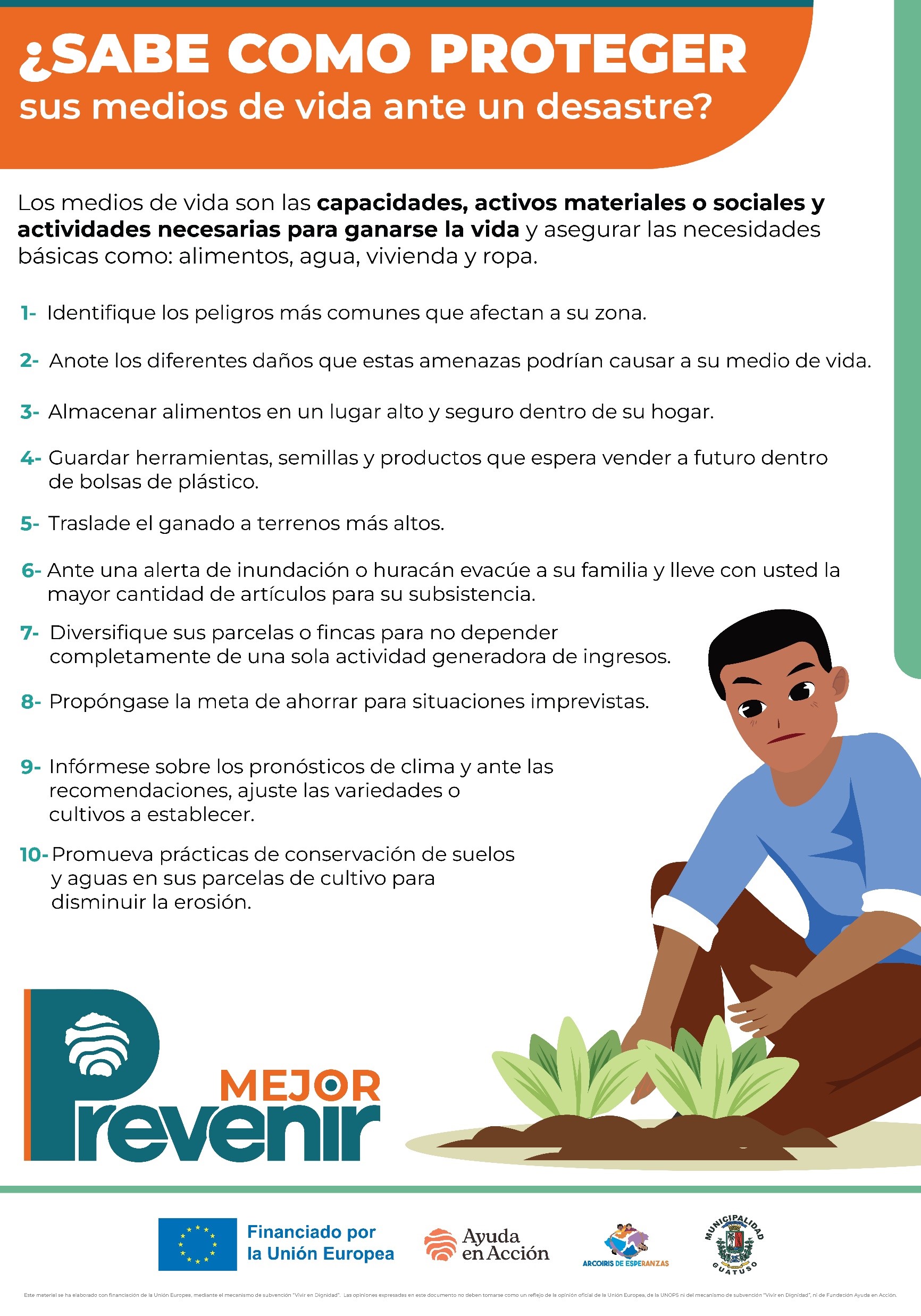 Curso virtual 